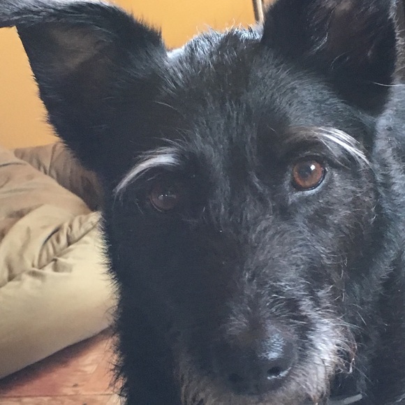 Meet your Posher, Christine - Picture 8 of 10